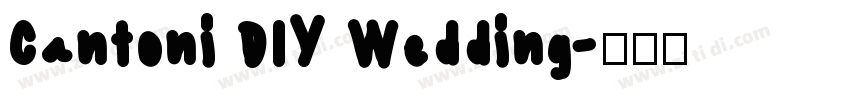 Cantoni DIY Wedding字体转换